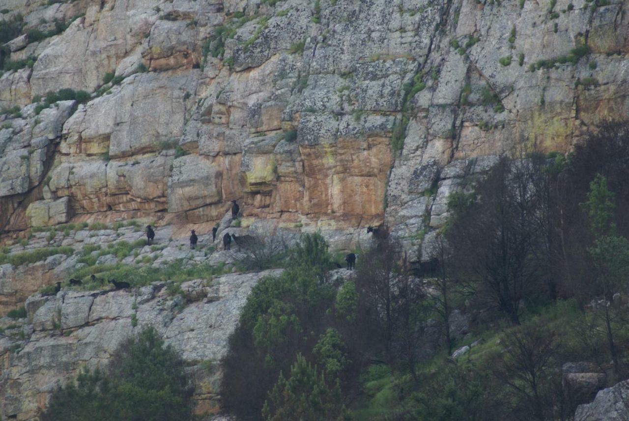 Вилла Monte Do Pego Arneiro  Экстерьер фото